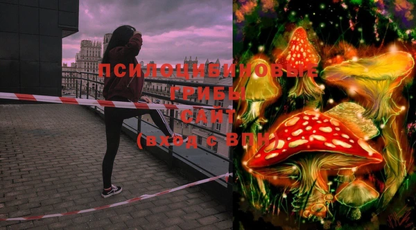 PSILOCYBIN Верхний Тагил